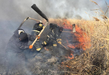 Спасатели тушат камыш в Атырауской области
