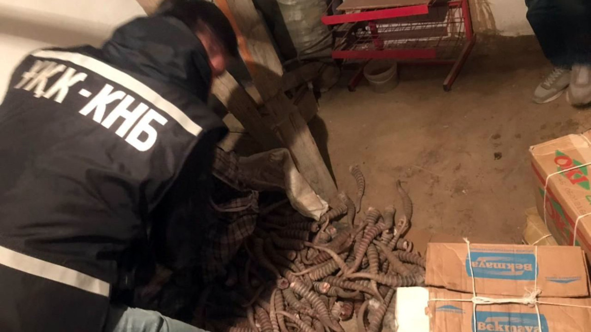 Более 100 кг сайгачьих рогов изъяли у сбытчиков дериватов в Кызылординской области