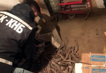 Более 100 кг сайгачьих рогов изъяли у сбытчиков дериватов в Кызылординской области