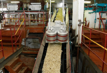 700 инвестпроектов на 2,6 трлн тенге планируют реализовать в АПК