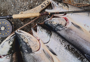 Акция «Нерест» стартует в Казахстане с 5 апреля