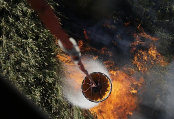 Камыш тушат с вертолета на побережье Каспийского моря