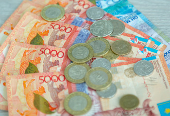 Организацию финпирамиды выявили в Павлодарской области