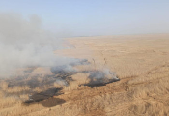 Четвертые сутки тушат горящие камышовые заросли в Атырауской области