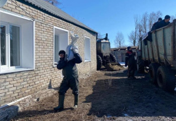 Жилые дома и дворы подтопило в селе Карамырза