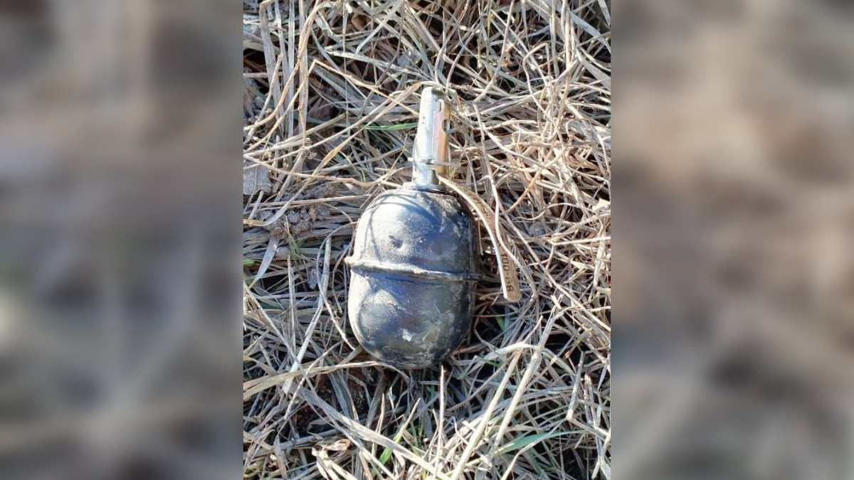 Учебную гранату нашли на улице в Петропавловске