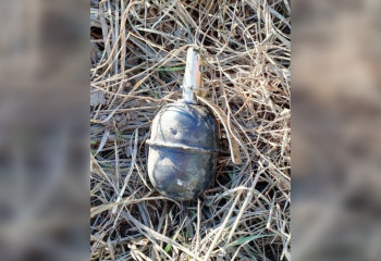 Учебную гранату нашли на улице в Петропавловске