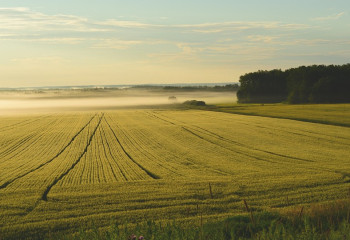 6,1 млн гектаров казахстанских сельхозземель возвращено государству