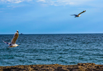 Mangystau region is leader in foreign tourists’ time spent