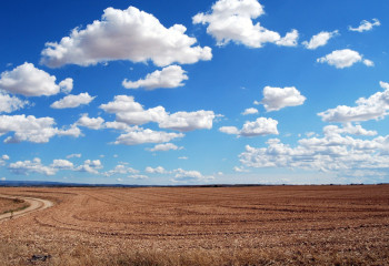 Получить земельные участки в Казахстане станет проще