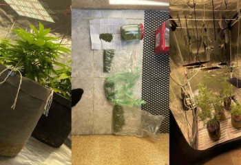 Несколько фитонарколабораторий ликвидировали в Актау