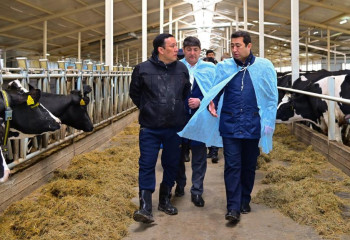 В районе СКО запустили молочную ферму