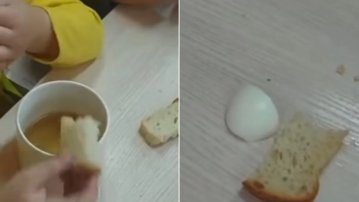  Видеодан кадр 