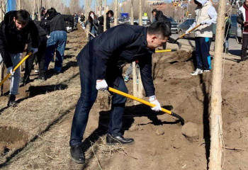 Елордада бір миллион ағаш пен бұта отырғызылады