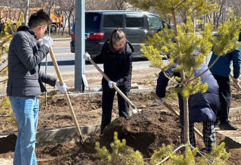 Миллион деревьев и кустарников высадят в Астане