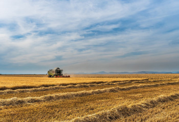 Ауыл шаруашылығын субсидиялауға байланысты жаңа жоба таныстырылды