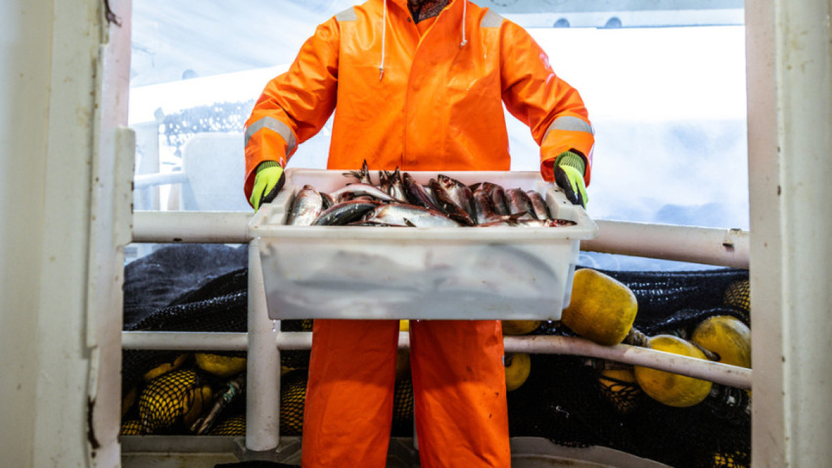 Работникам государственных рыбхозяйств повысят зарплату
