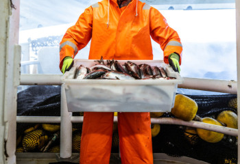 Работникам государственных рыбхозяйств повысят зарплату