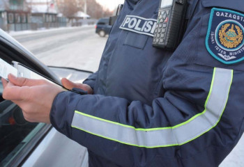 Пьяного автоугонщика задержали в области Жетысу