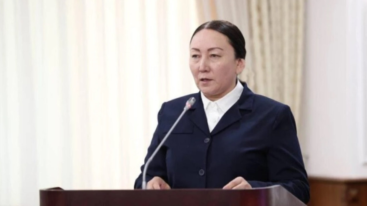  primeminister.kz 