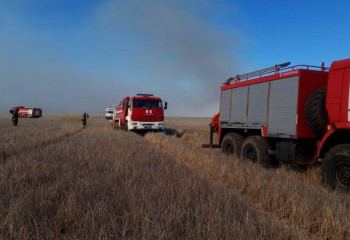С начала пожароопасного периода зарегистрировано 19 лесных пожаров