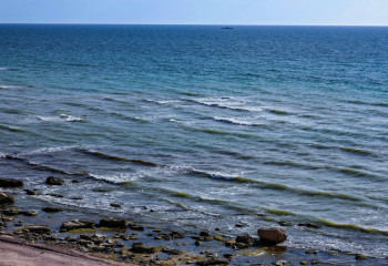 Каспий теңізін зерттеу институты қашан құрылады