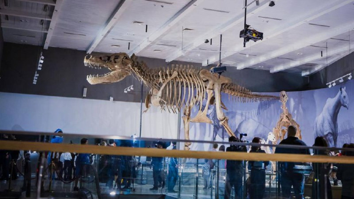 Скелеты доисторических животных выставили в новом зале палеонтологии в Астане