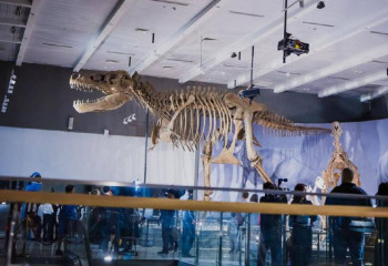 Скелеты доисторических животных выставили в новом зале палеонтологии в Астане