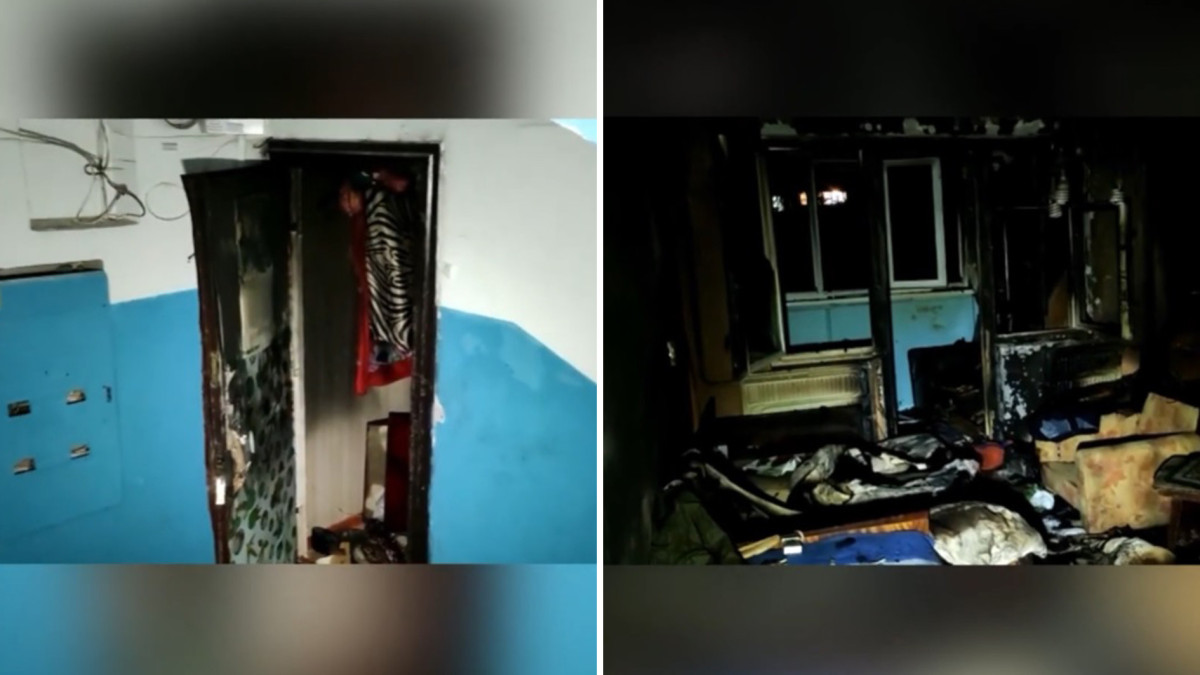  Видеодан кадр 