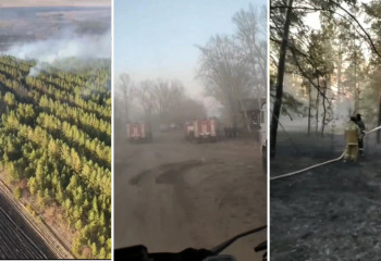 Павлодар облысындағы орман өрті Ресей аумағына жеткен