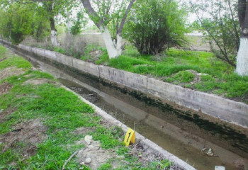 Школьник подозревается в убийстве девушки в Туркестанской области