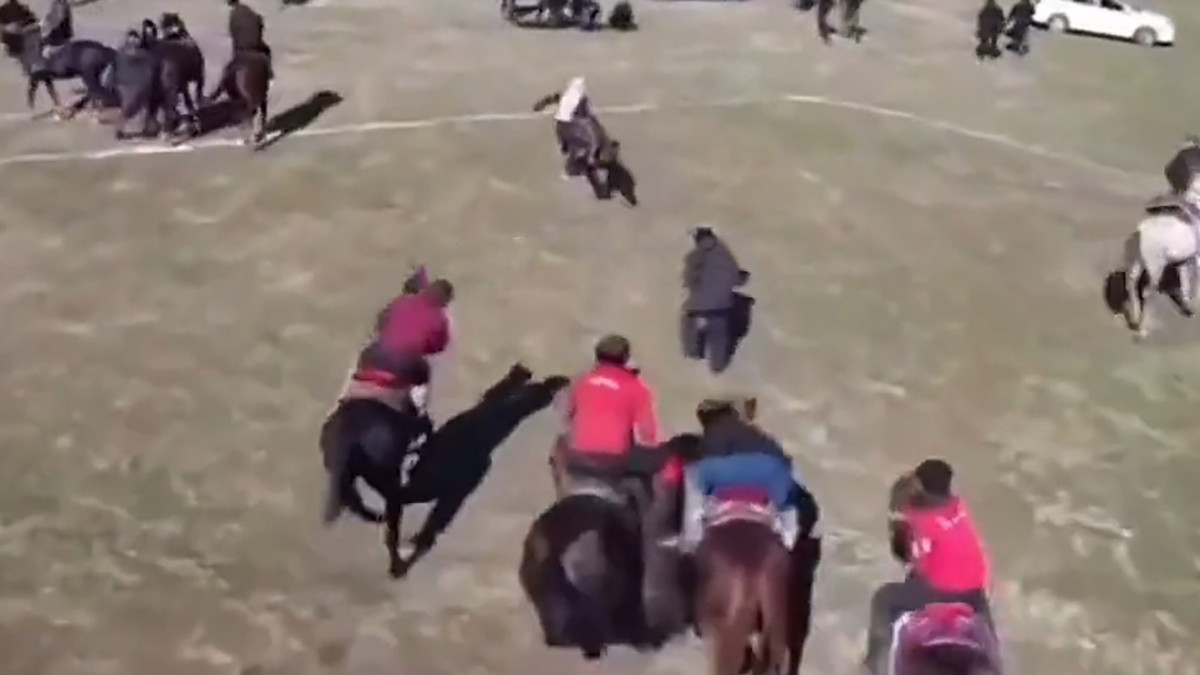  Видеодан кадр 