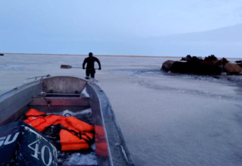 Ақмола облысында 100-ге жуық жылқы құтқарылды