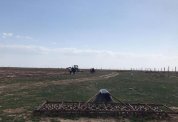 В Атырау будет засеяно 10 тысяч гектаров