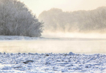 Екібастұзда мал іздеуге шыққан әйел із-түссіз жоғалып кетті