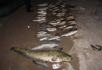 На шесть лет осудили браконьеров в Туркестанской области