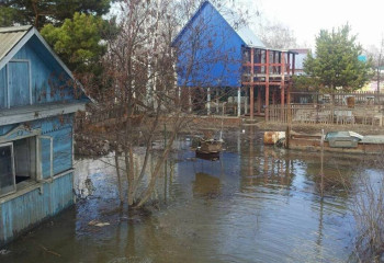 Петропавлда 700-ге жуық саяжай су астында қалды