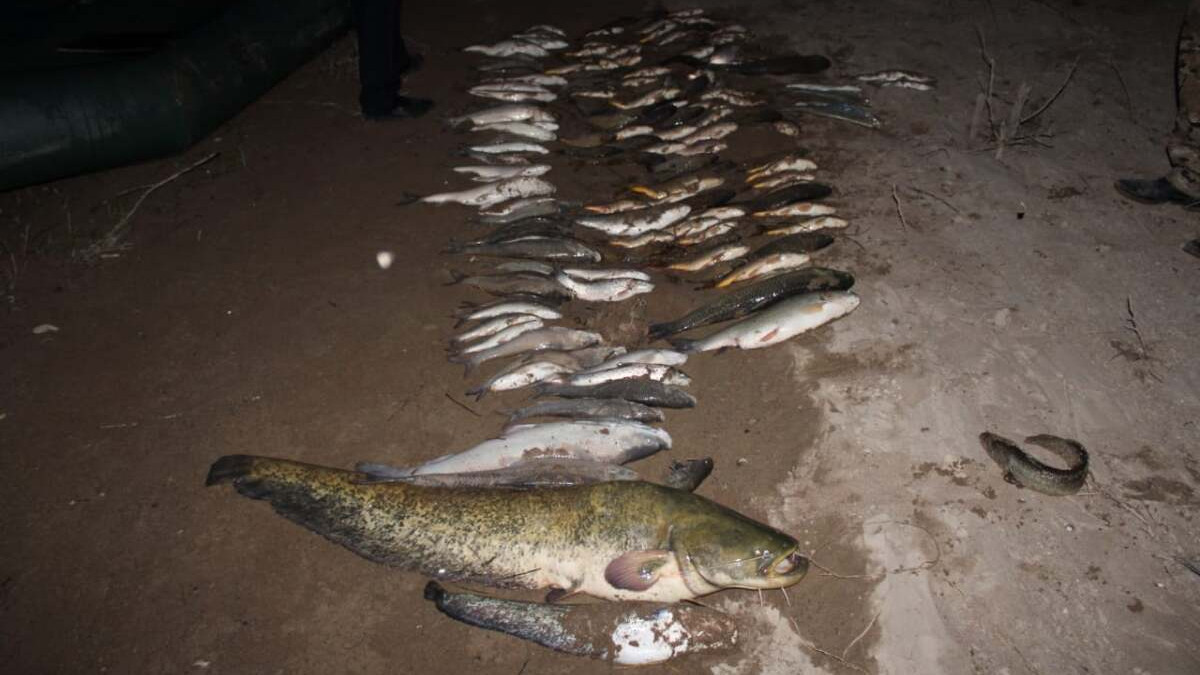  МВД РК 