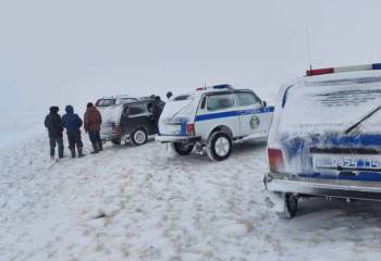 Тело пропавшей в Павлодарской области женщины нашли в степи