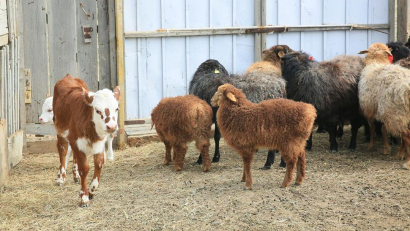  акимат Актюбинской области 