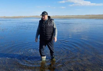 Лиманное орошение внедряют в области Абай