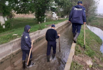 Новые подробности об убийстве девушки в Туркестанской области сообщили полицейские