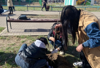 Более 1,3 млн саженцев планируется высадить в Карагандинской области