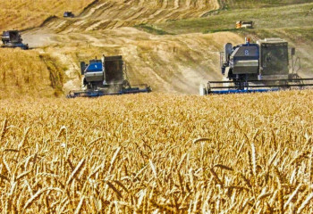 Начался новый прием заявок на возмещение затрат экспортеров Казахстана