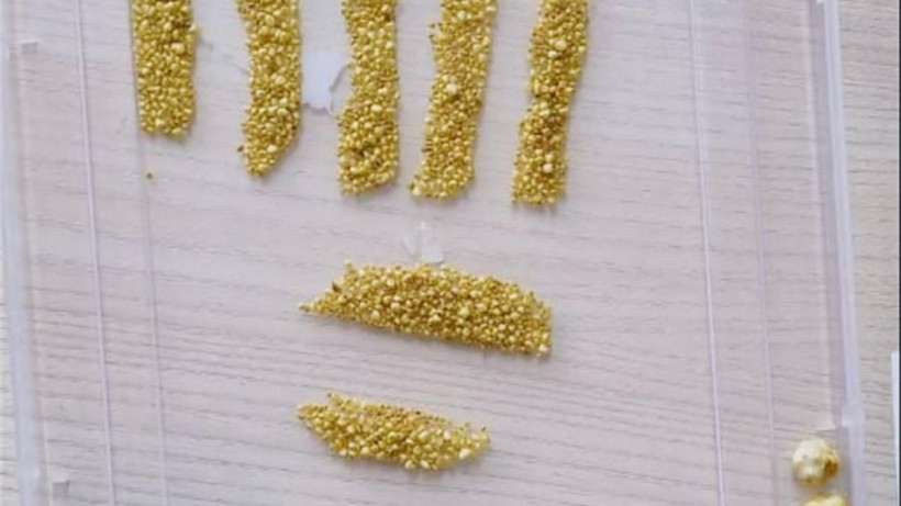  Управление общественного здравоохранения города Алматы 