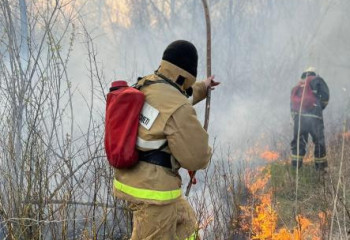 Оралда тоғайдан өрт шықты