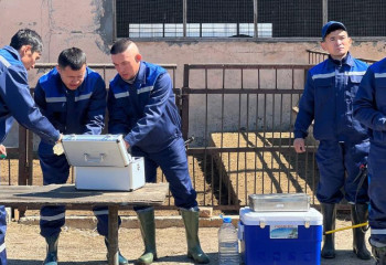 Симуляционный тренинг для ветеринаров подготовили в в области Жетысу