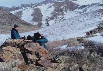 В Тарбагатайском нацпарке увеличилось количество обитающих там животных