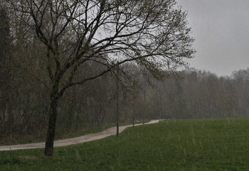 Циклон принесет дожди в Казахстан