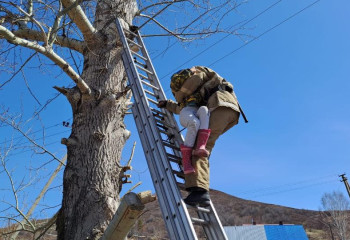Застрявшую на дереве девочку сняли спасатели ВКО
